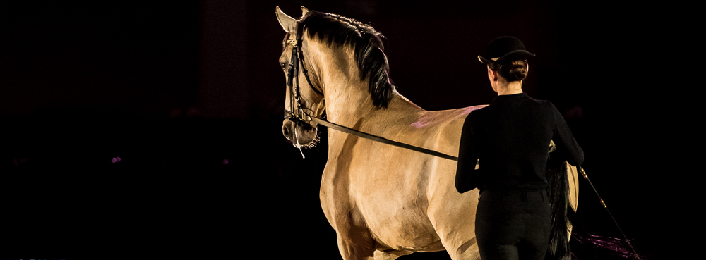 Nuit Iberique 20190206-0614