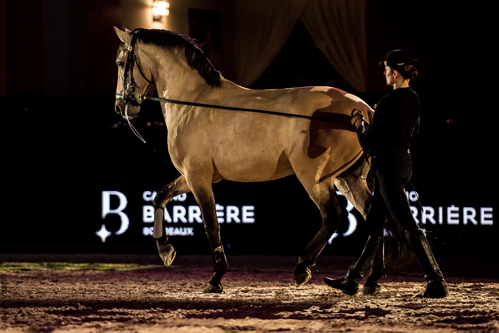 Nuit Iberique 20190206-0620