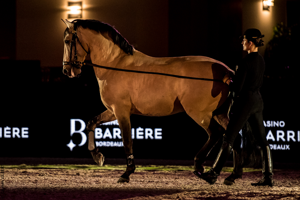 Nuit Iberique 20190206-0624