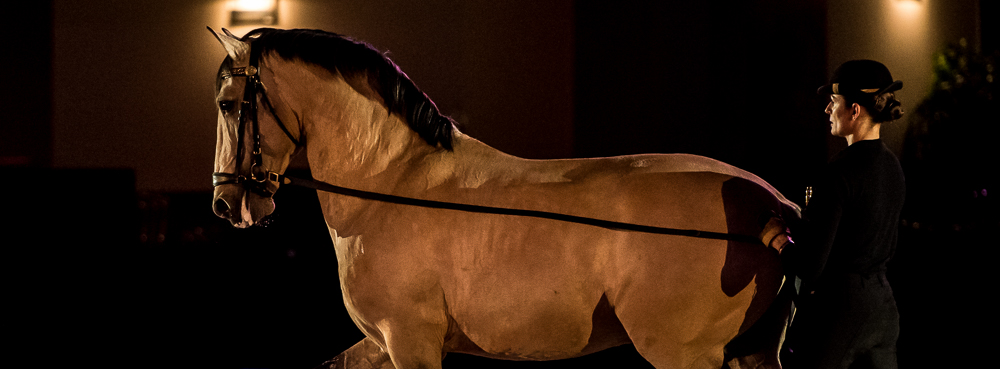 Nuit Iberique 20190206-0624