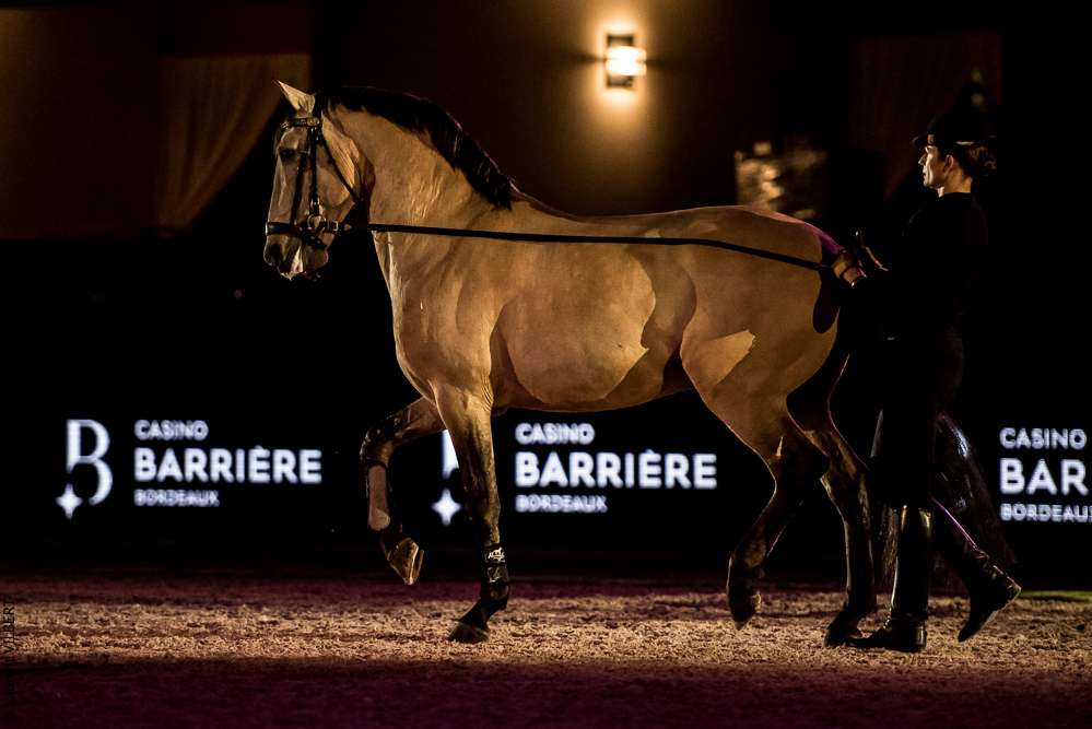 Nuit Iberique 20190206-0628