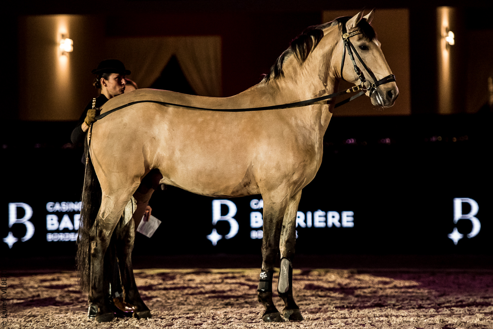 Nuit Iberique 20190206-0636