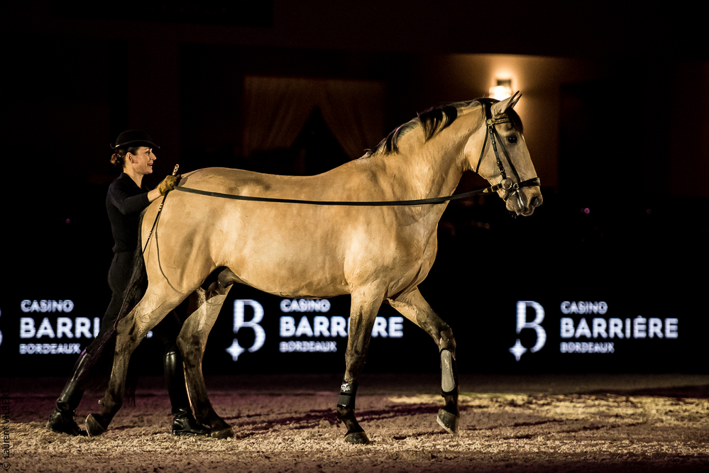 Nuit Iberique 20190206-0643