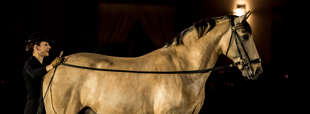 Nuit Iberique 20190206-0643