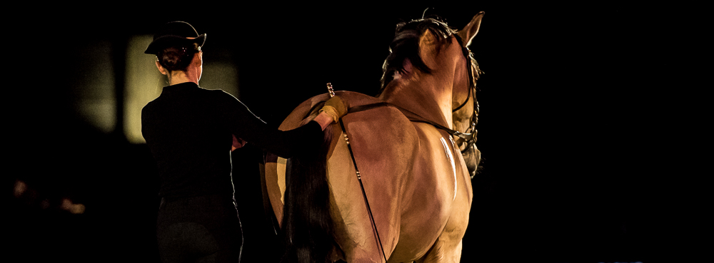 Nuit Iberique 20190206-0647