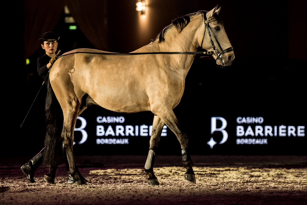 Nuit Iberique 20190206-0651