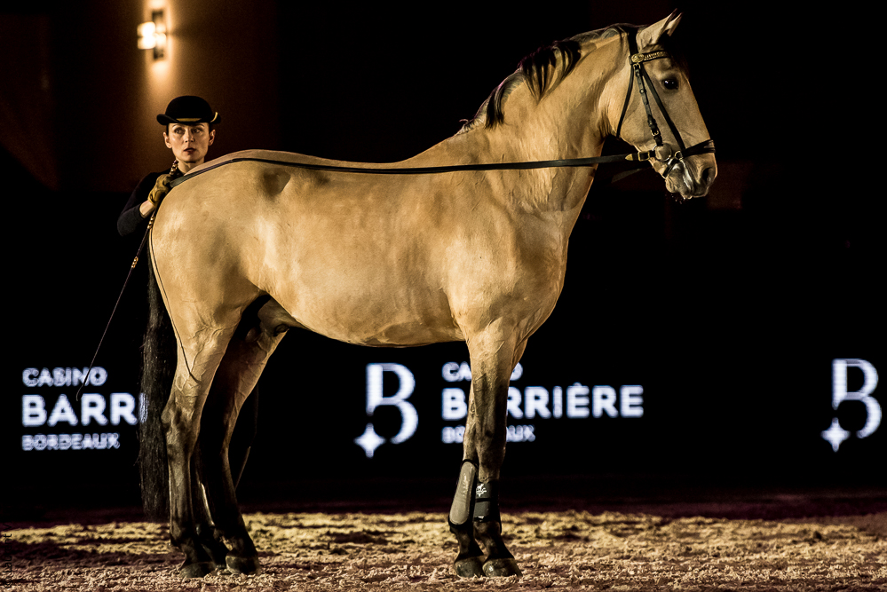 Nuit Iberique 20190206-0654