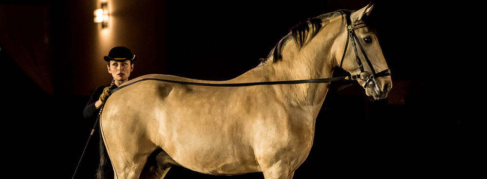 Nuit Iberique 20190206-0654