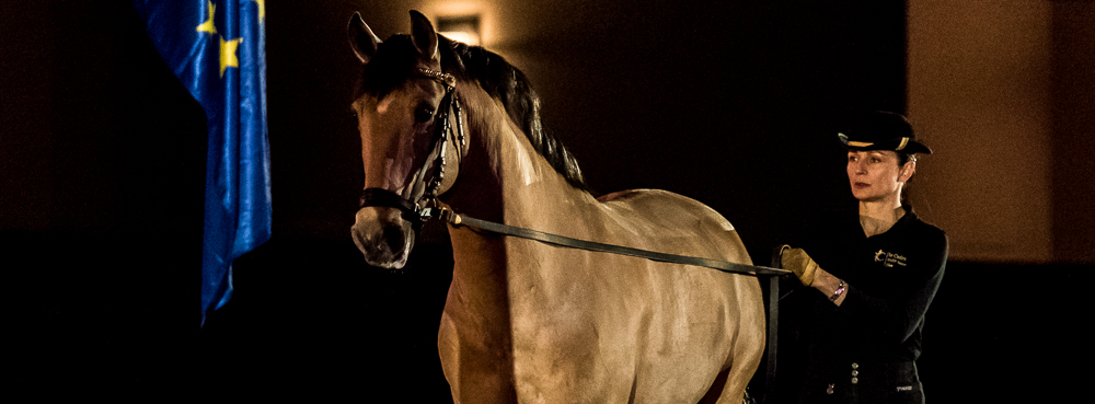 Nuit Iberique 20190206-0667