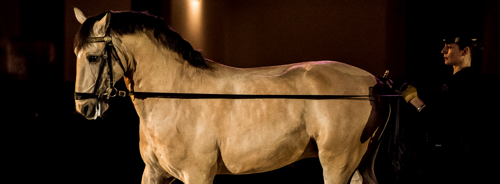 Nuit Iberique 20190206-0683