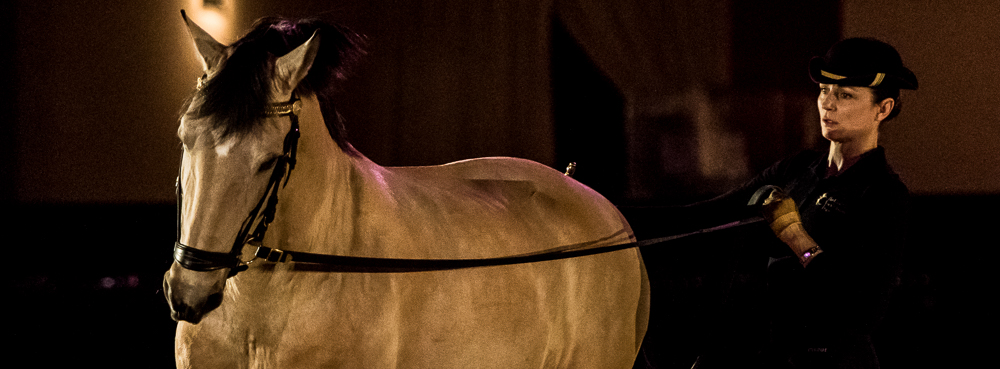 Nuit Iberique 20190206-0686