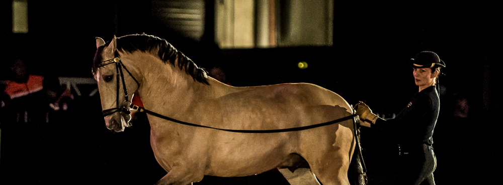 Nuit Iberique 20190206-0697