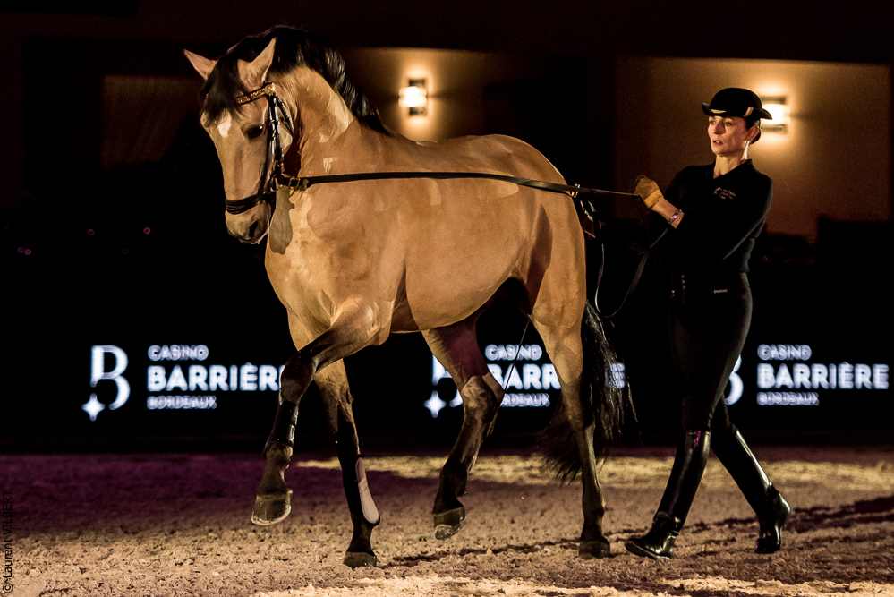 Nuit Iberique 20190206-0708