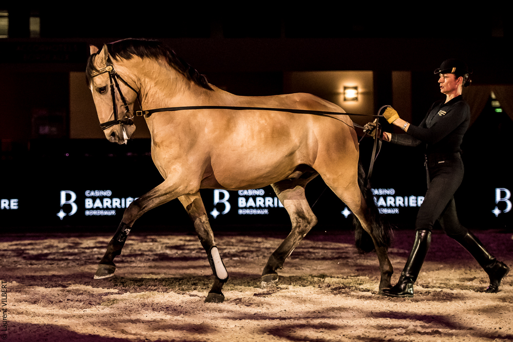 Nuit Iberique 20190206-0713