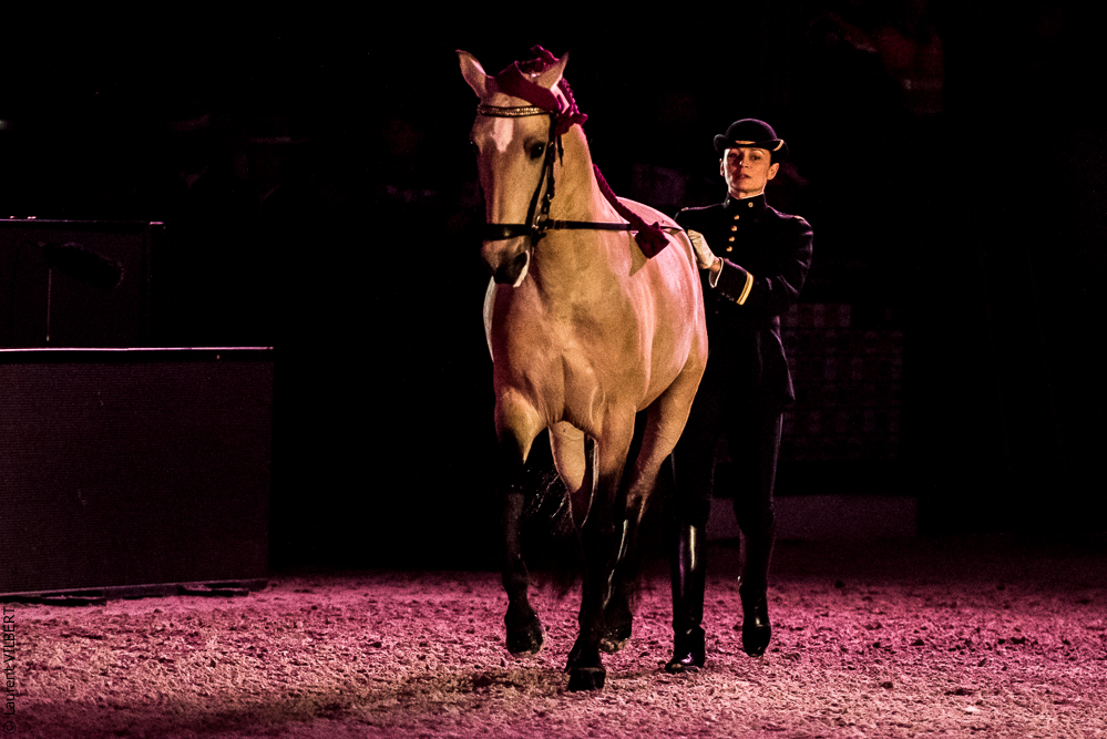 Nuit Iberique 20190207-1918