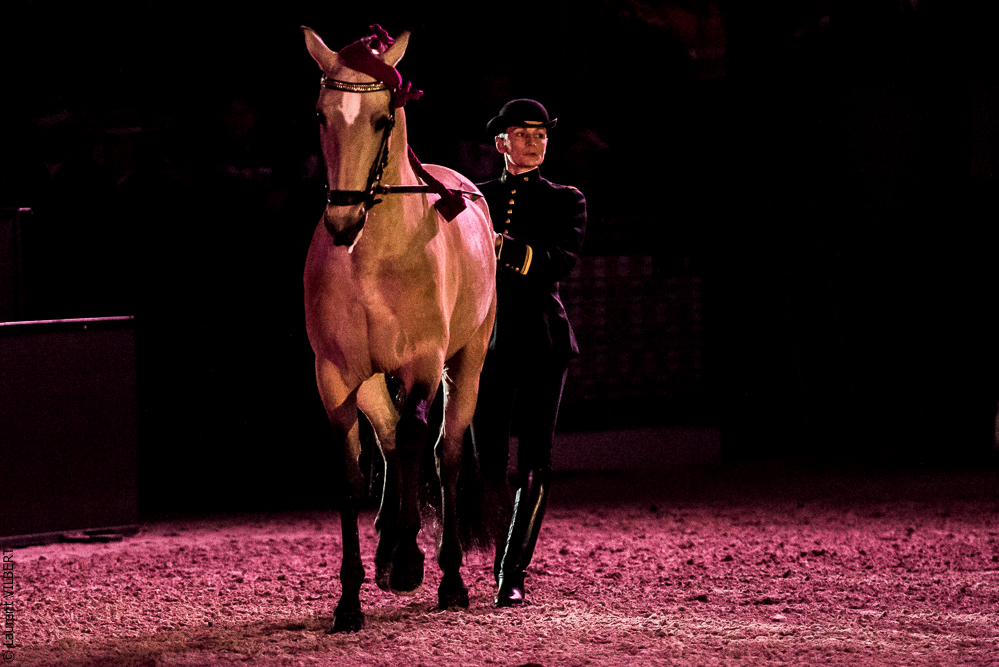 Nuit Iberique 20190207-1919