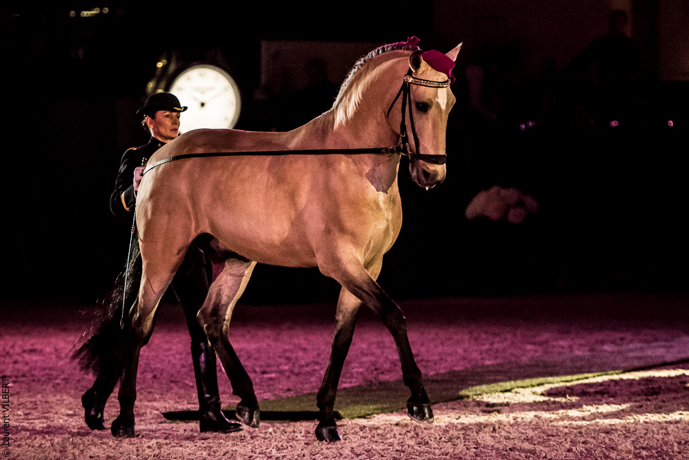 Nuit Iberique 20190207-1924