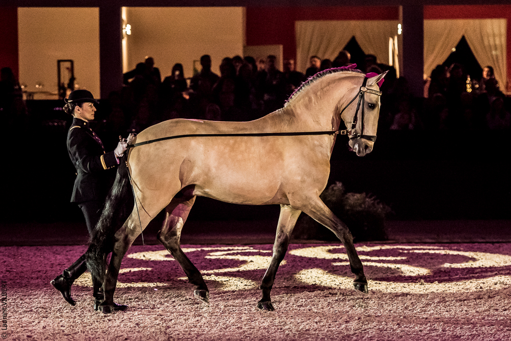 Nuit Iberique 20190207-1929