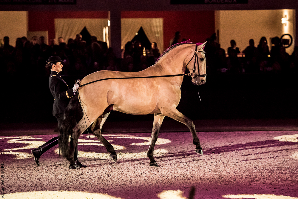 Nuit Iberique 20190207-1931