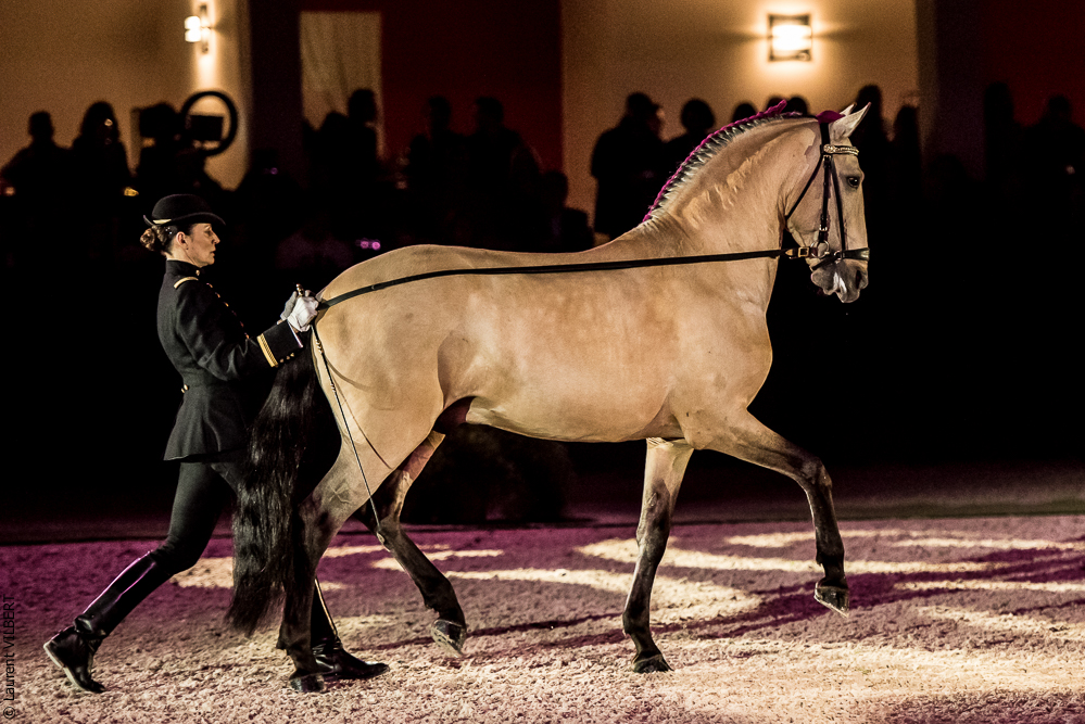 Nuit Iberique 20190207-1932