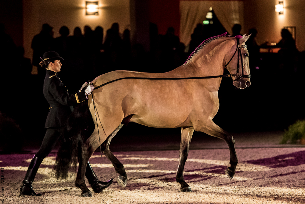 Nuit Iberique 20190207-1933