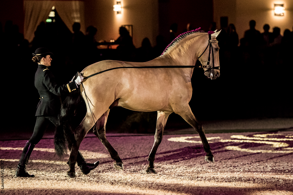 Nuit Iberique 20190207-1934