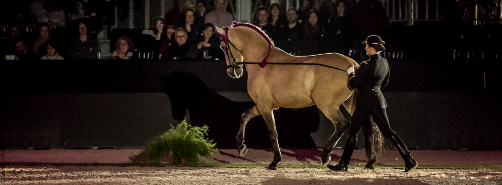 Nuit Iberique 20190207-1941