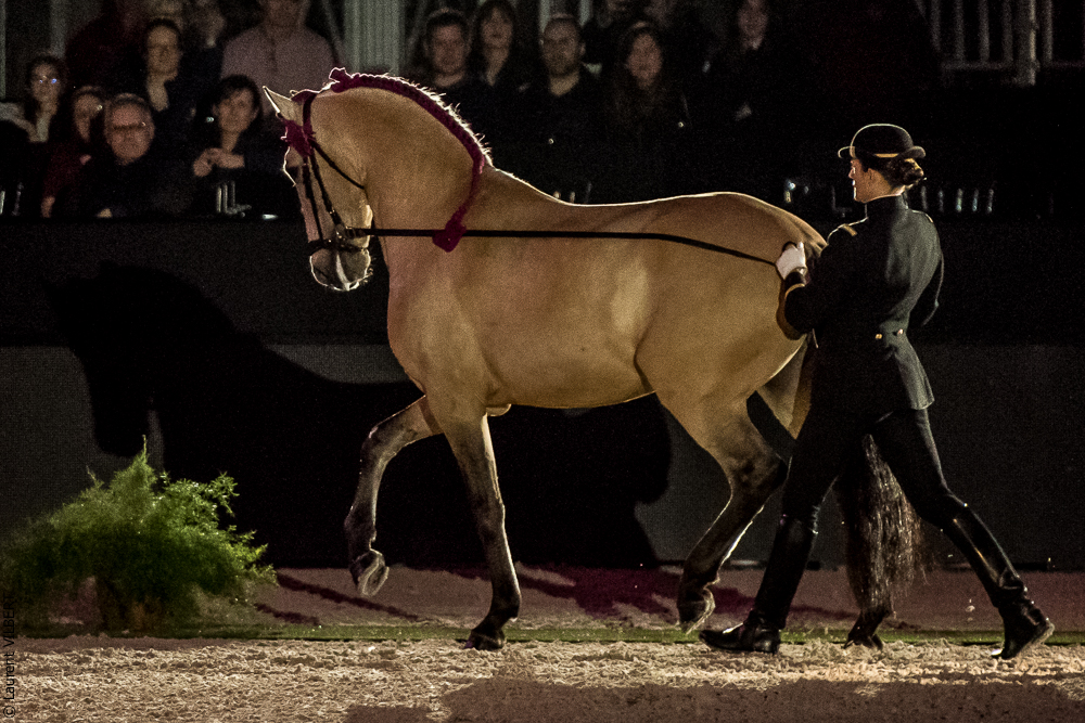 Nuit Iberique 20190207-1941