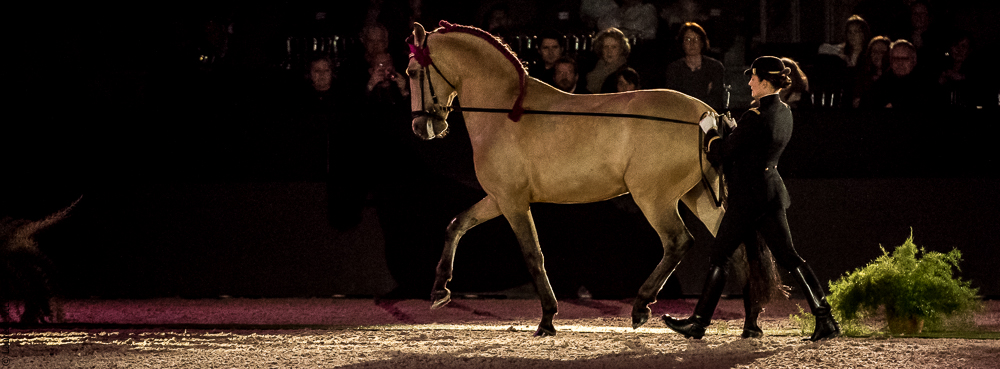Nuit Iberique 20190207-1944