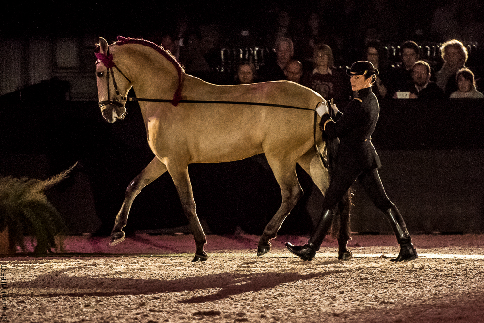 Nuit Iberique 20190207-1945