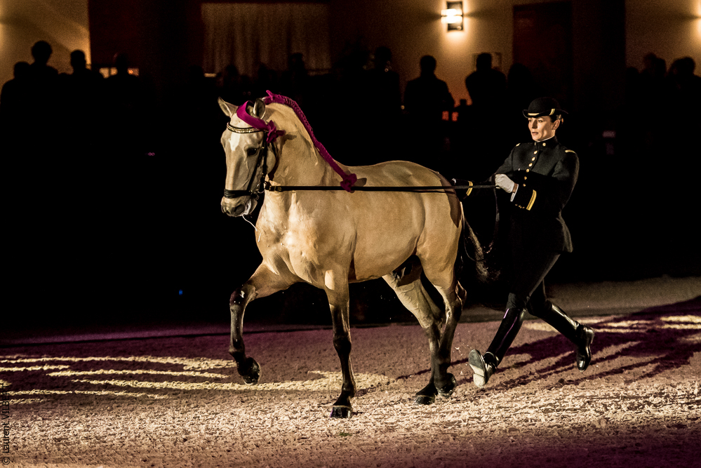 Nuit Iberique 20190207-1951