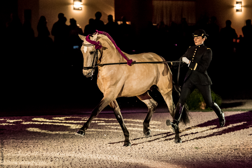 Nuit Iberique 20190207-1952