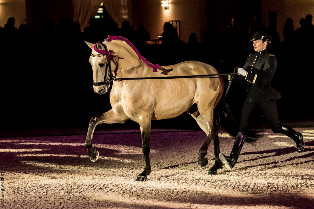 Nuit Iberique 20190207-1954