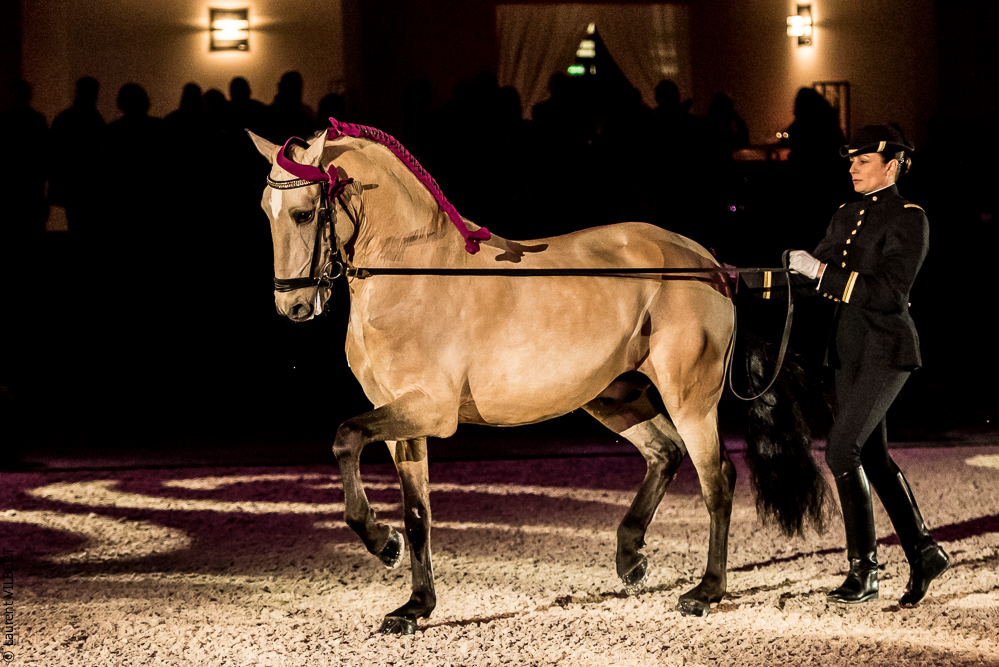 Nuit Iberique 20190207-1955