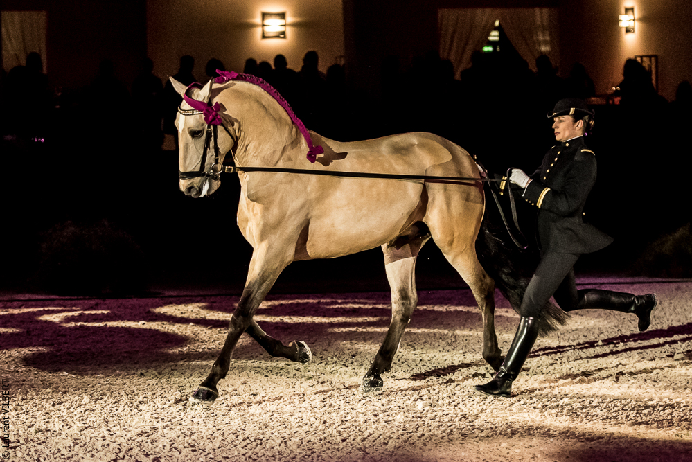 Nuit Iberique 20190207-1956