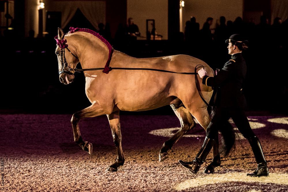 Nuit Iberique 20190207-1960