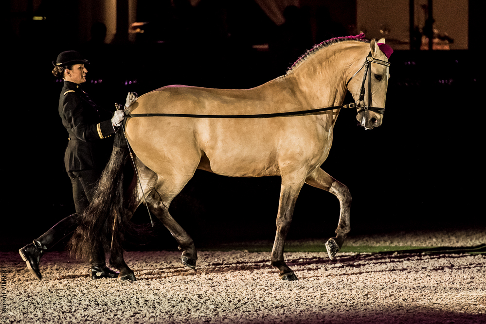 Nuit Iberique 20190207-1964