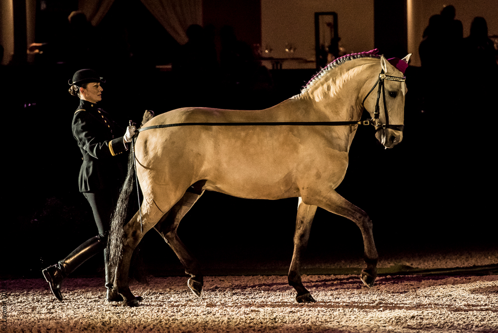 Nuit Iberique 20190207-1965