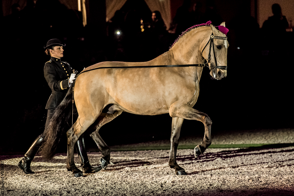 Nuit Iberique 20190207-1968