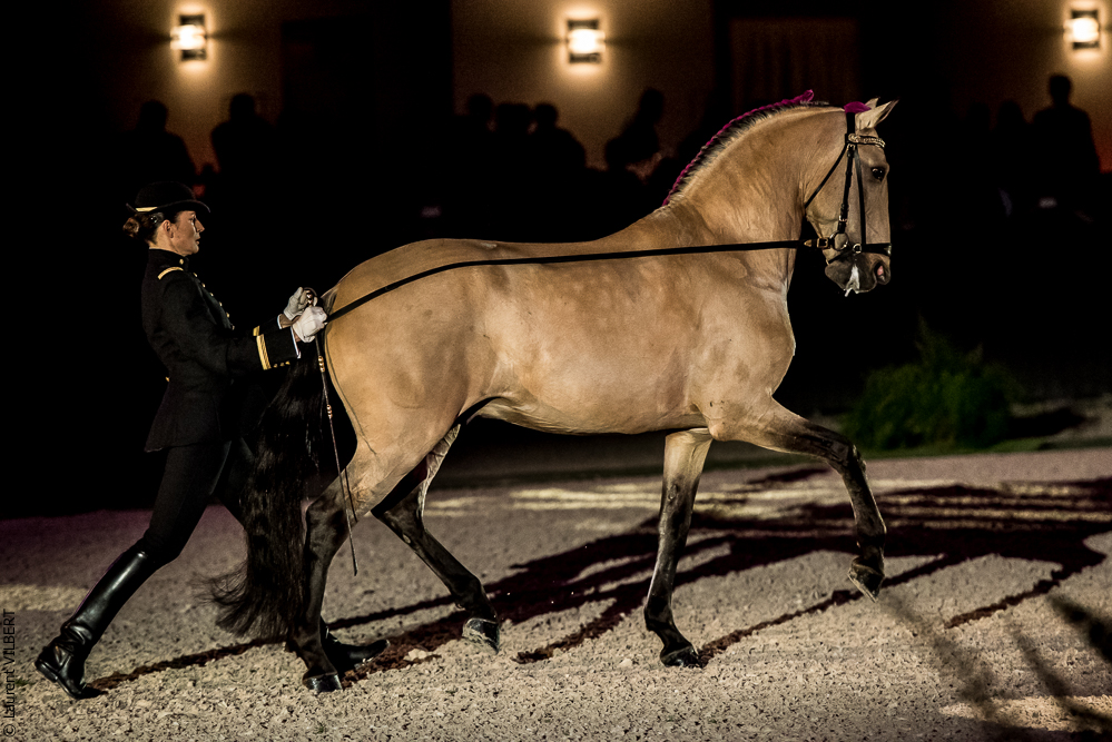 Nuit Iberique 20190207-1976