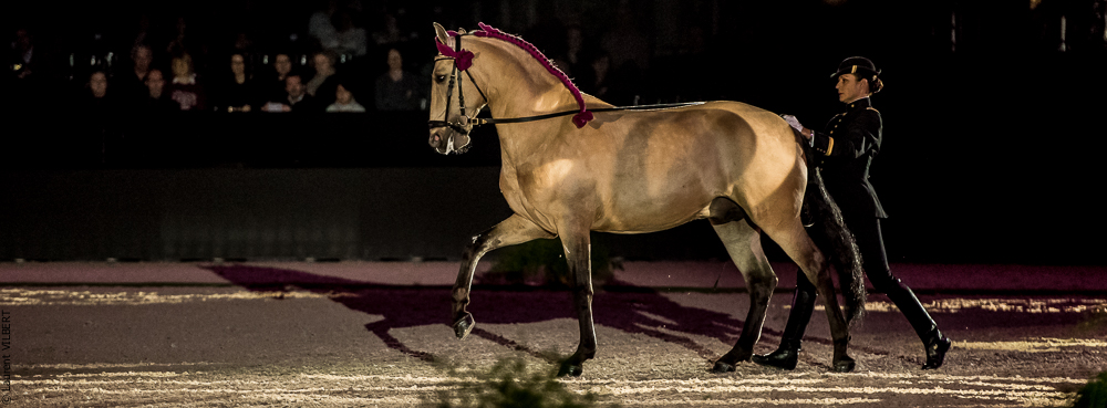 Nuit Iberique 20190207-1980