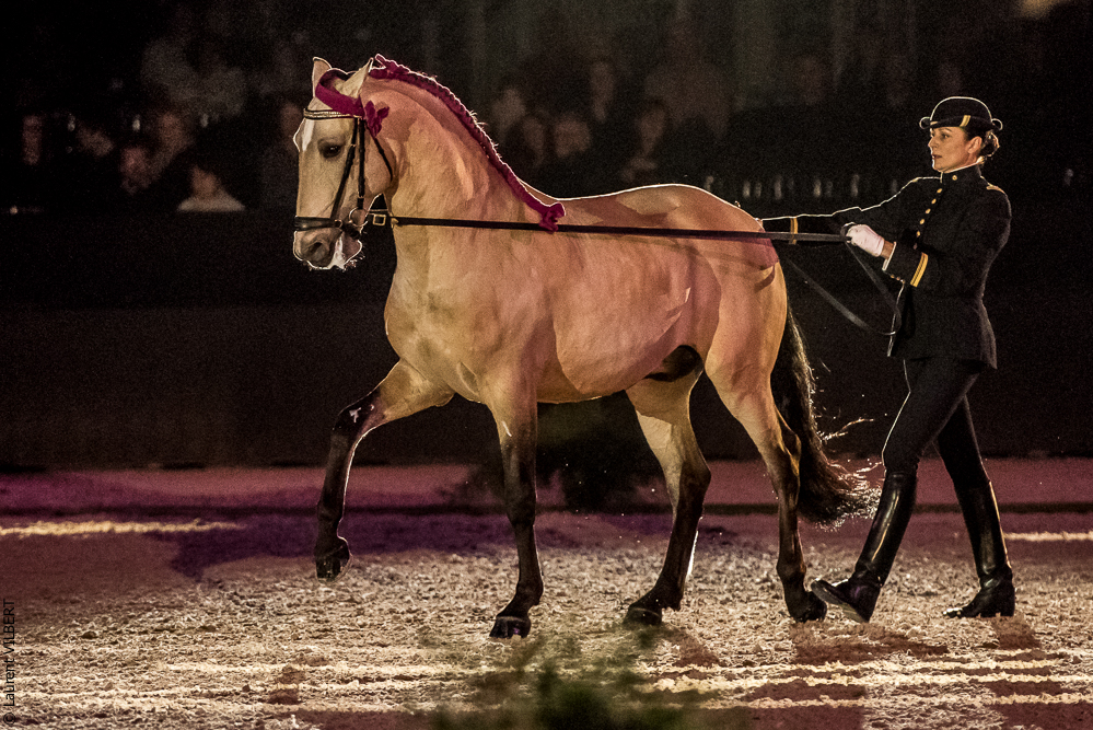 Nuit Iberique 20190207-1986