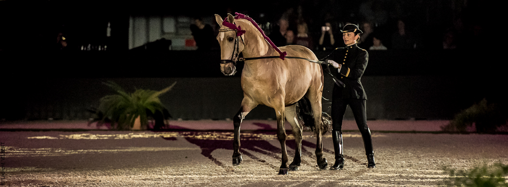 Nuit Iberique 20190207-1993