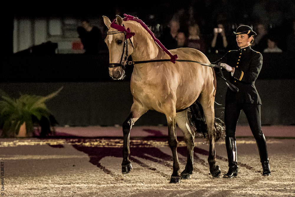 Nuit Iberique 20190207-1993