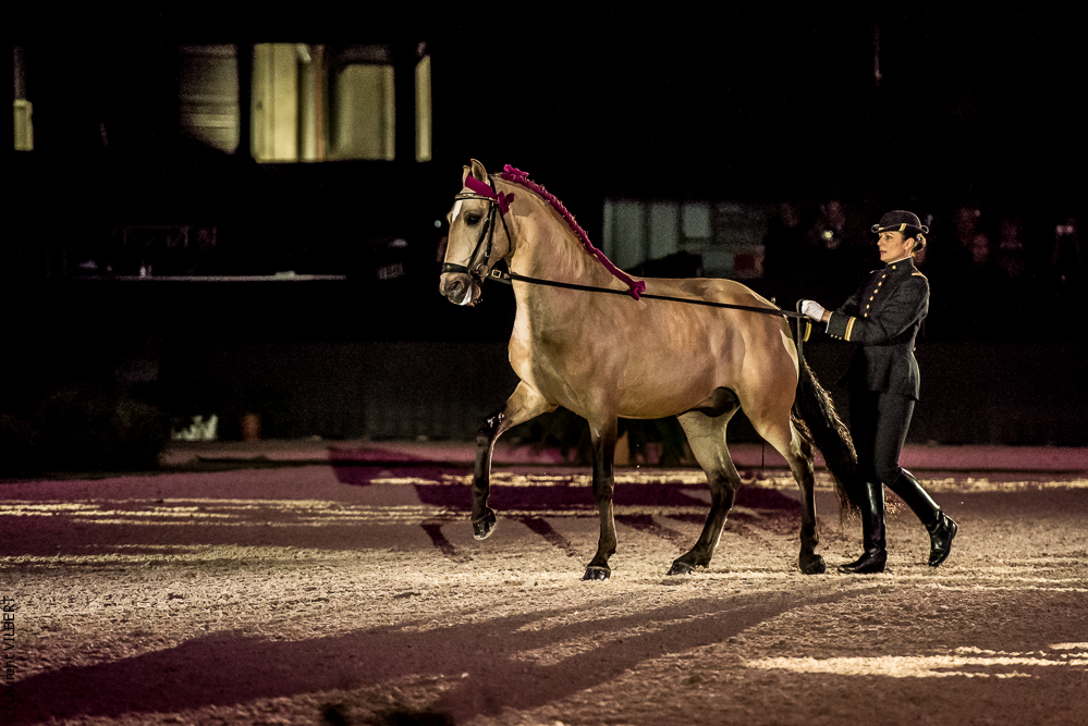 Nuit Iberique 20190207-1994