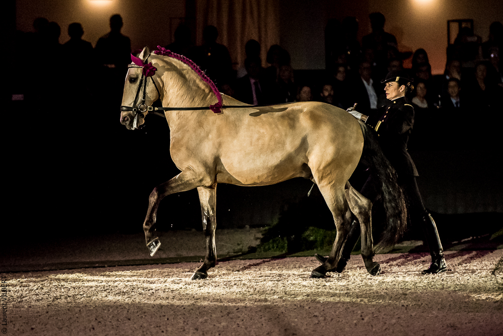 Nuit Iberique 20190207-1999