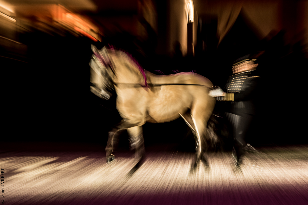 Nuit Iberique 20190207-2001