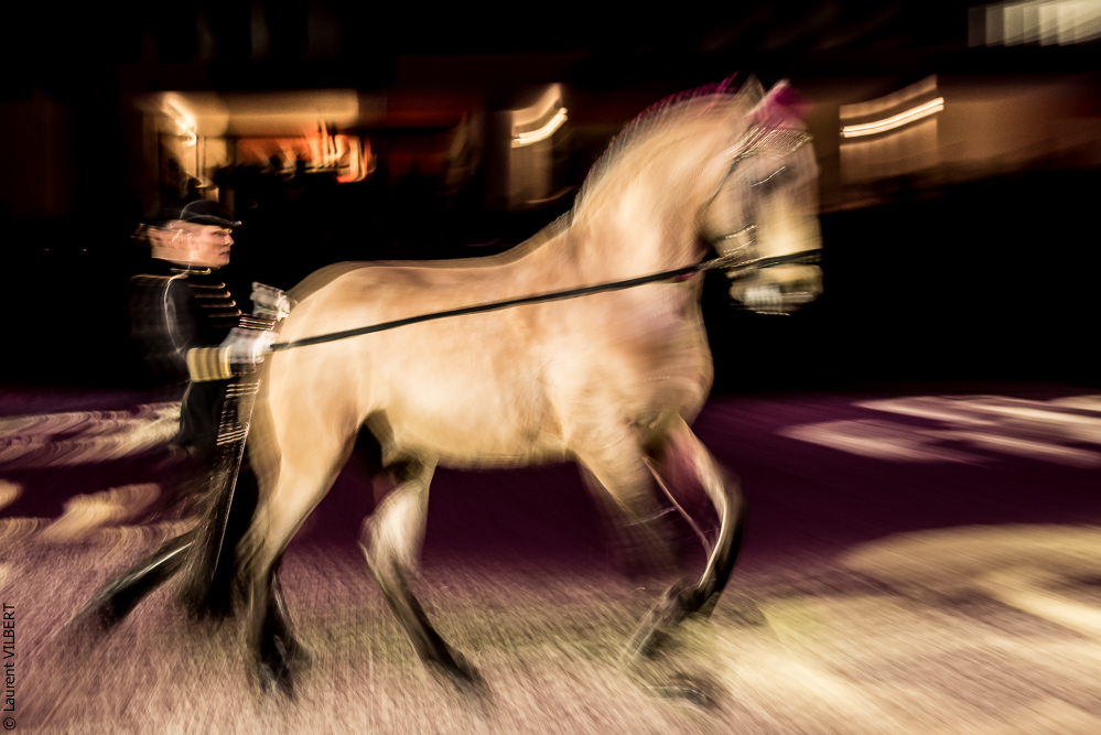 Nuit Iberique 20190207-2006