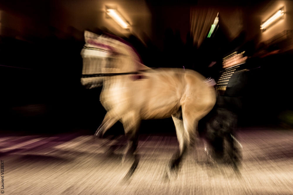 Nuit Iberique 20190207-2012