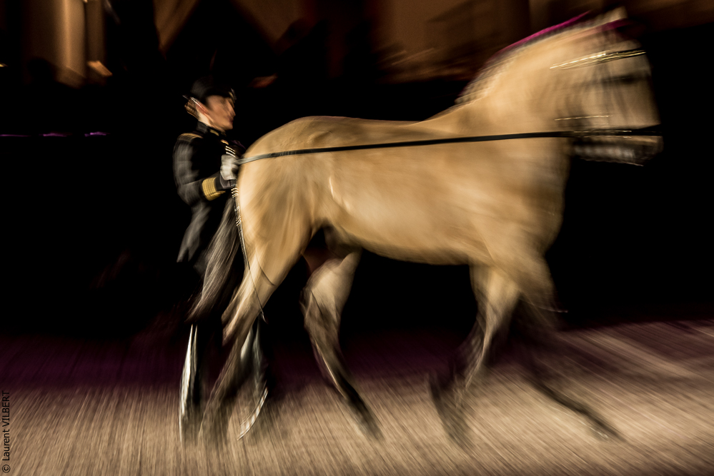 Nuit Iberique 20190207-2028